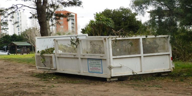 Puntos verde para recoleccion de podas