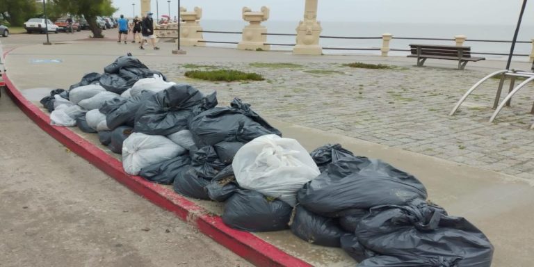 400 bolsas de resaca en la costa de Piriápolis