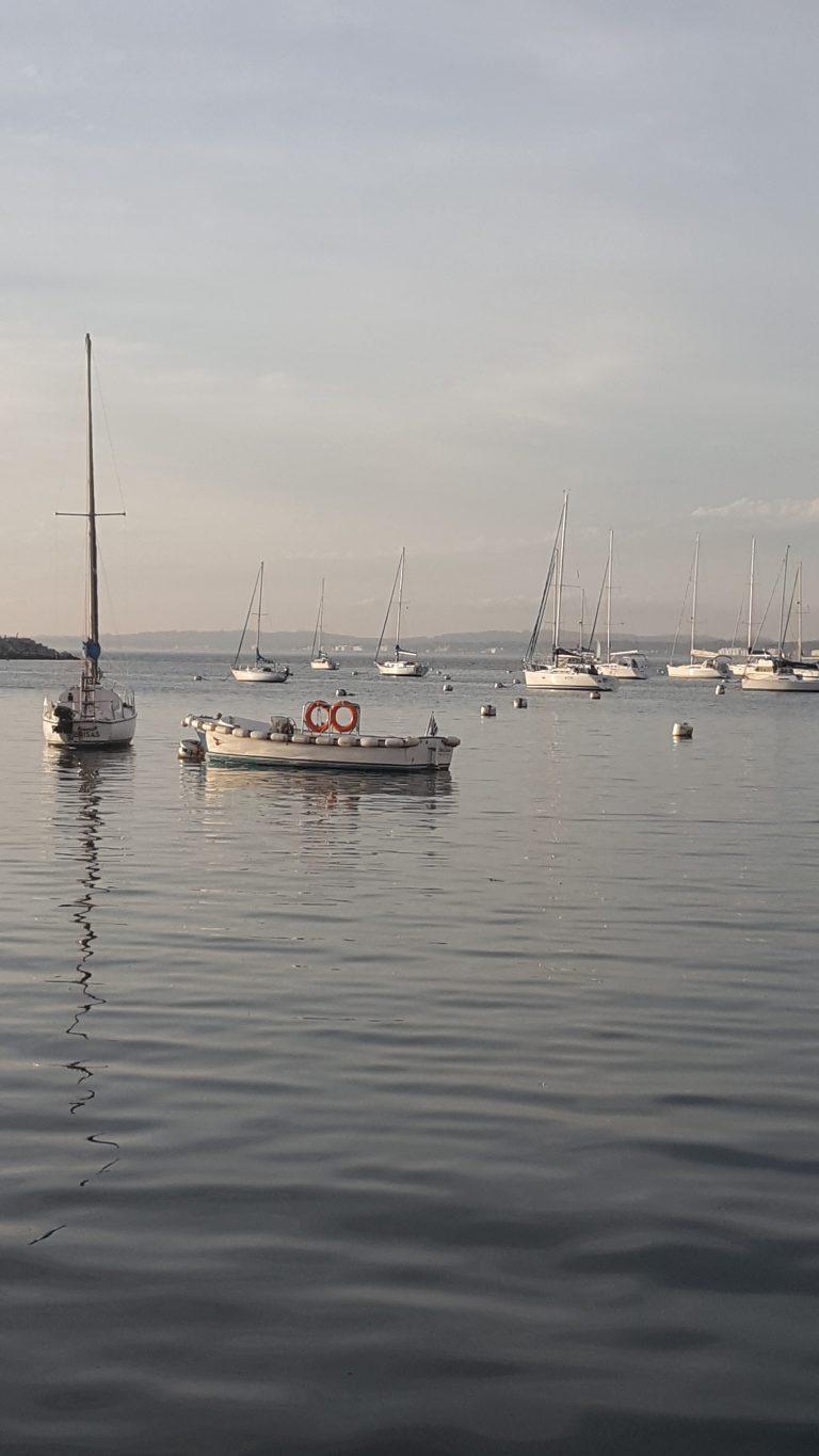 Reforma del Puerto de Punta del Este