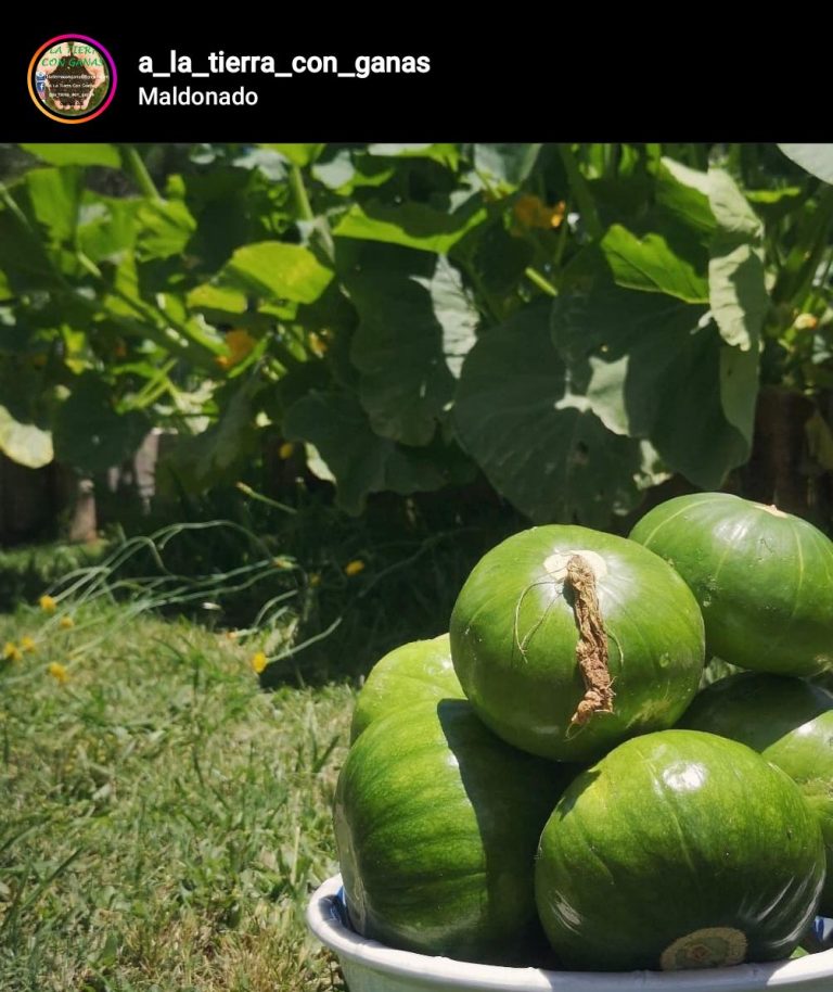 A la tierra con ganas