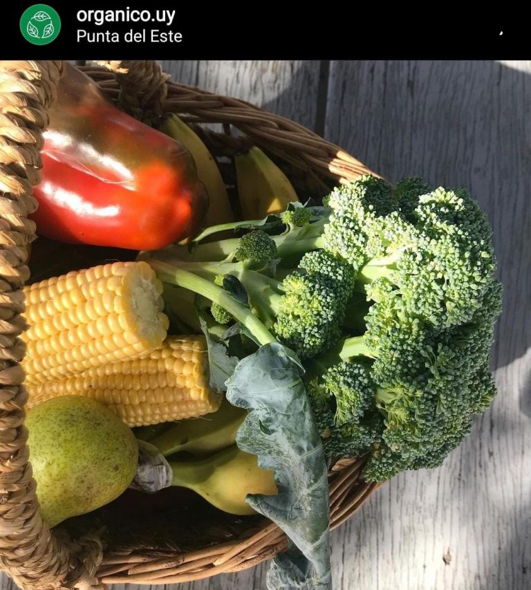 Organico.uy